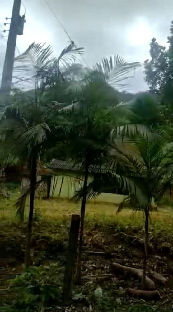 Fazenda, 513 hectares - Foto 2