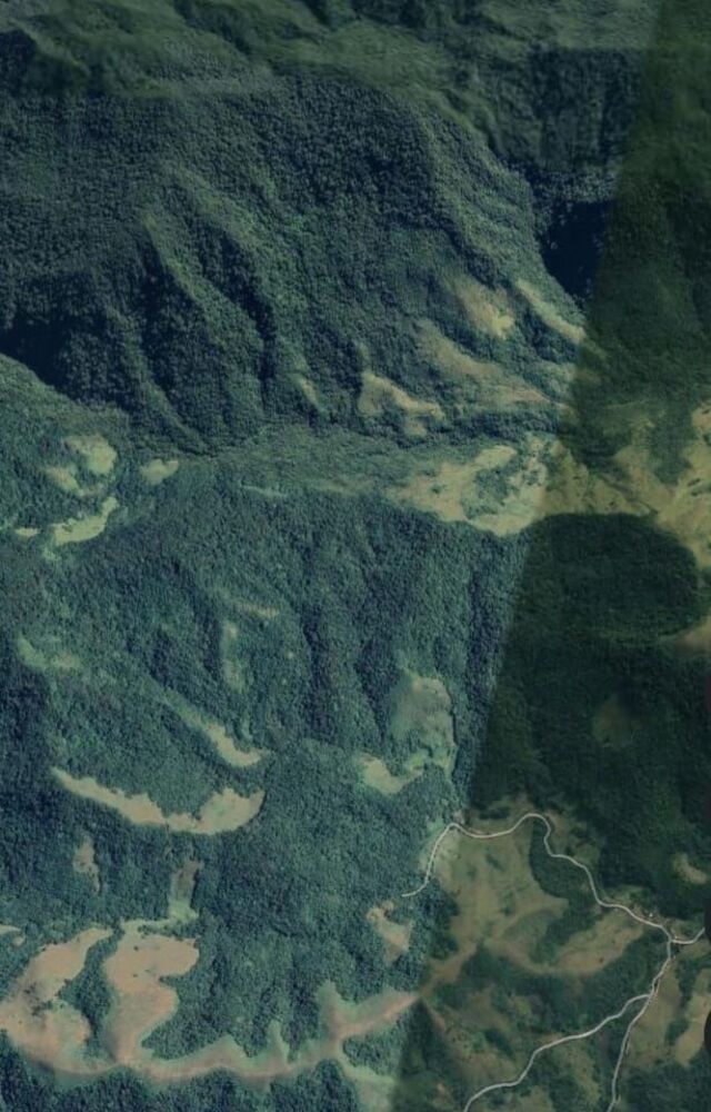 Fazenda, 513 hectares - Foto 6