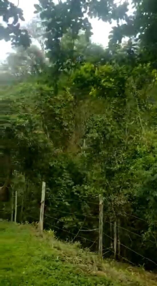 Fazenda, 513 hectares - Foto 4