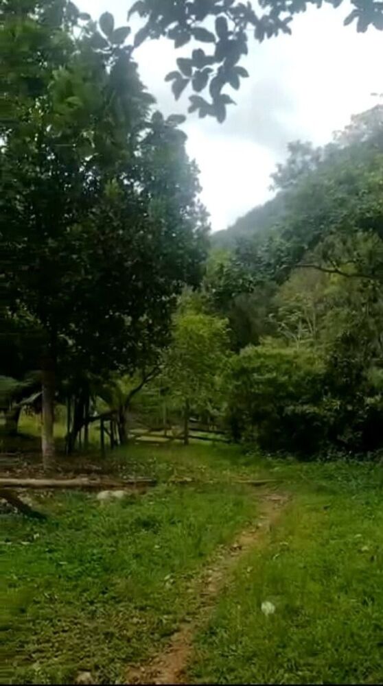 Fazenda, 513 hectares - Foto 1