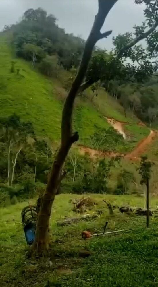 Fazenda, 513 hectares - Foto 3