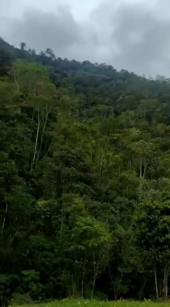 Fazenda, 513 hectares - Foto 5