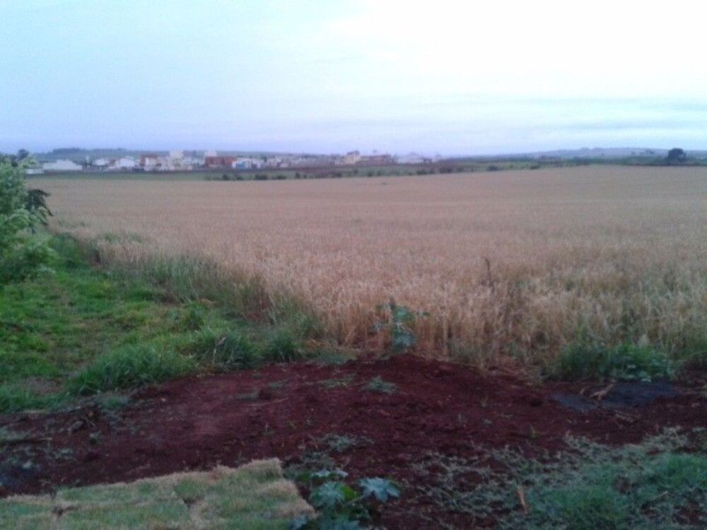 Terreno, 9 hectares - Foto 3