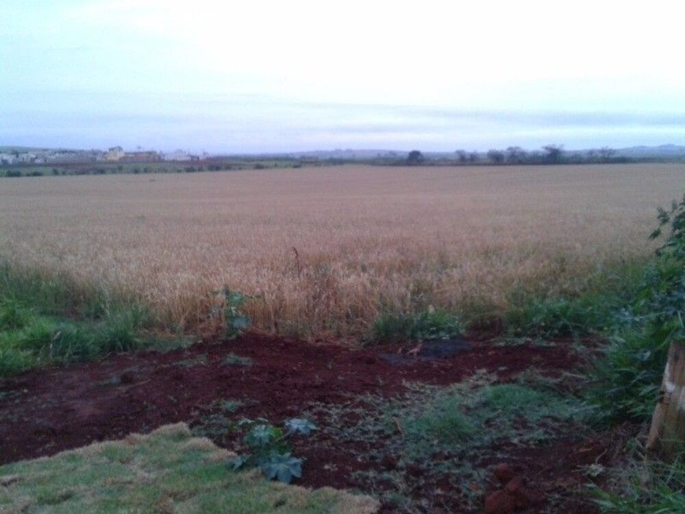 Terreno, 9 hectares - Foto 4