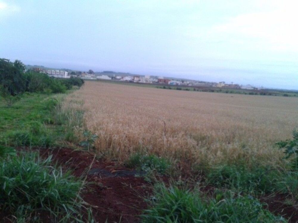 Terreno, 9 hectares - Foto 5