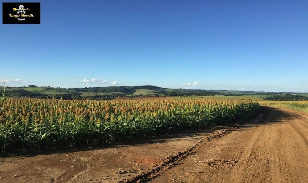 Fazenda à venda com 2 quartos, 11761m² - Foto 3