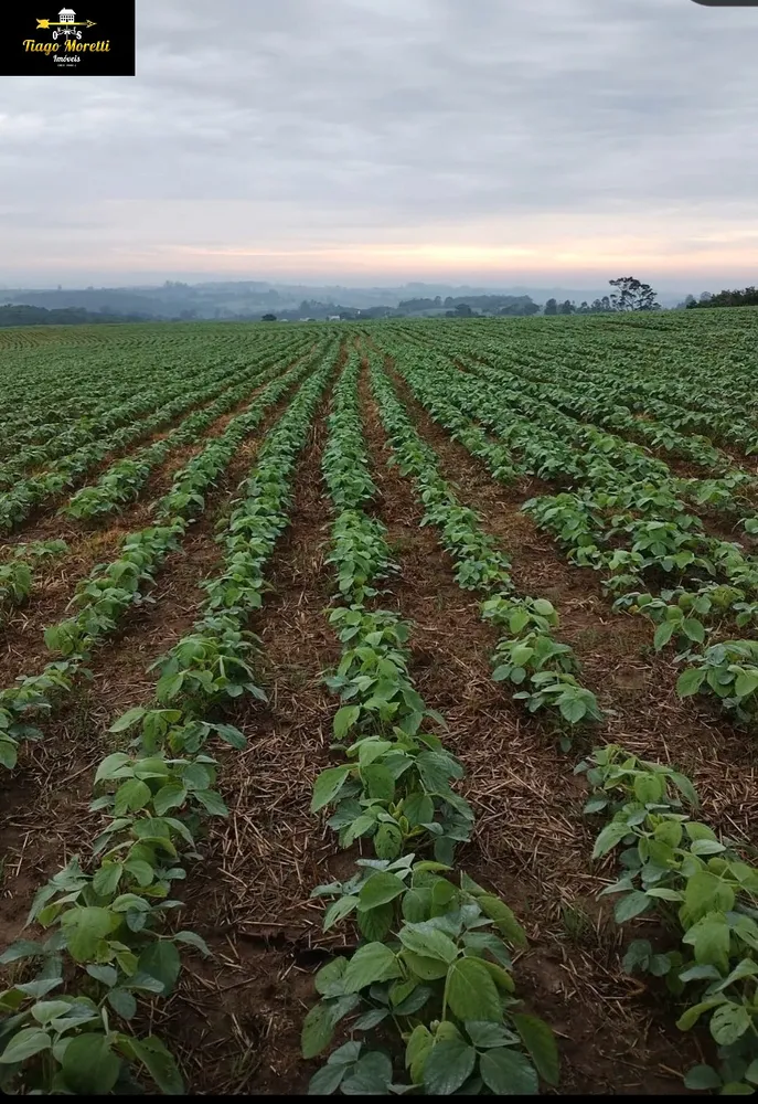 Fazenda, 1 hectares - Foto 13