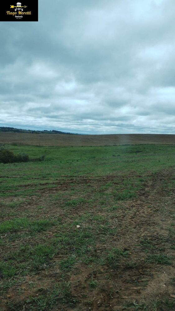 Fazenda à venda com 2 quartos, 11761m² - Foto 8