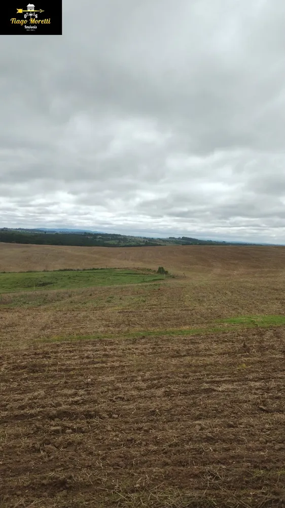 Fazenda, 1 hectares - Foto 14