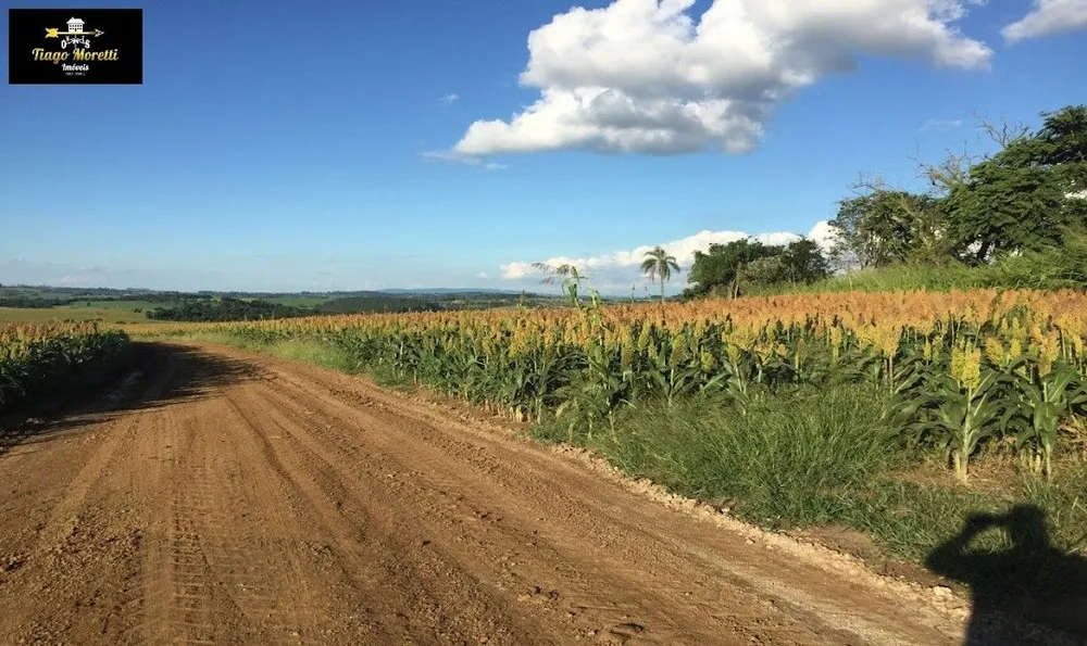 Fazenda, 1 hectares - Foto 5