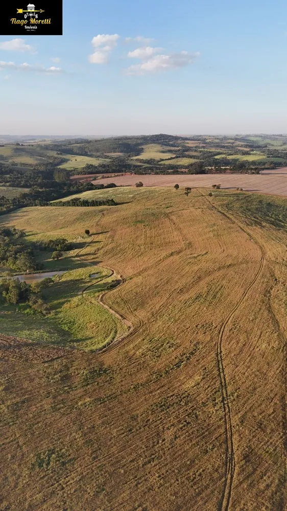 Fazenda, 1 hectares - Foto 10