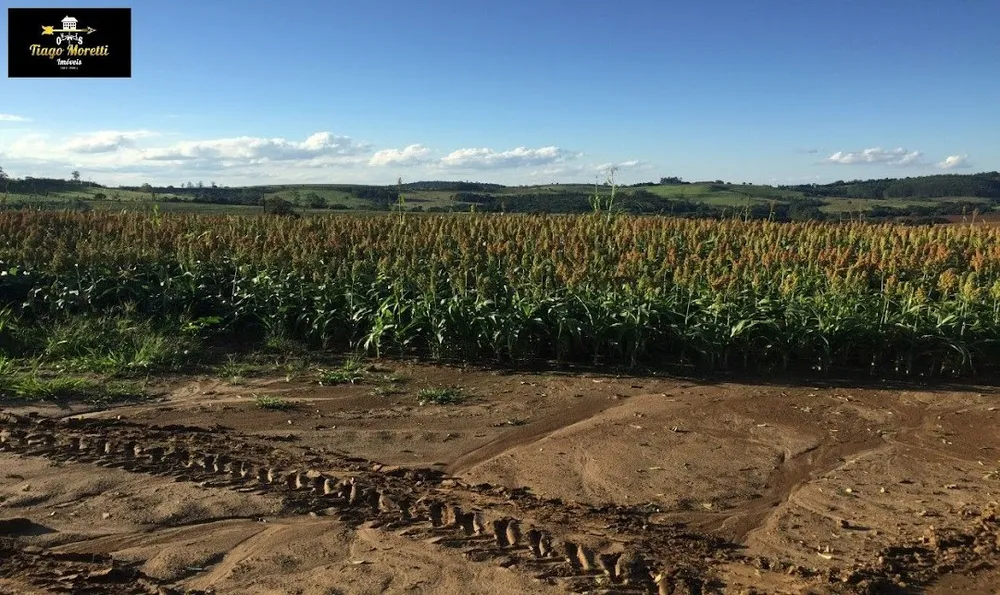 Fazenda, 1 hectares - Foto 7