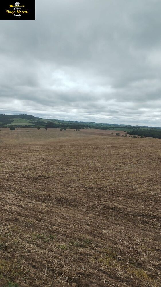Fazenda à venda com 2 quartos, 11761m² - Foto 6