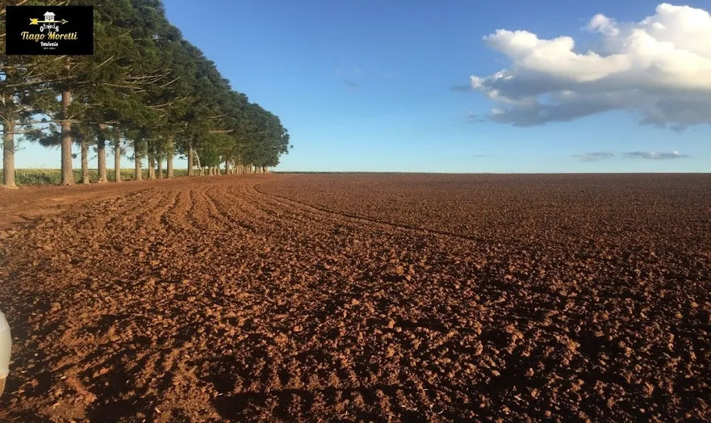 Fazenda, 1 hectares - Foto 3