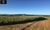 Fazenda, 1 hectares - Foto 3