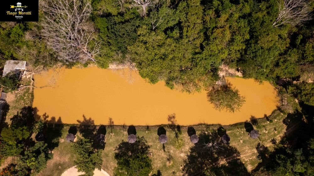 Chácara, 6 quartos, 2 hectares - Foto 7