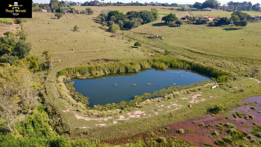 Sítio, 7 quartos, 6 hectares - Foto 7