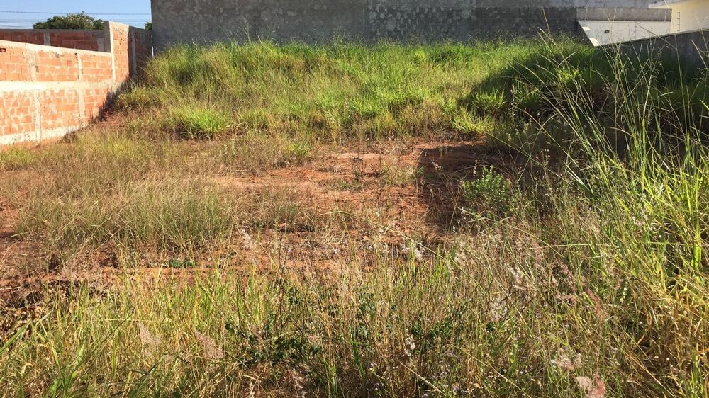 Terreno, 200 m² - Foto 2