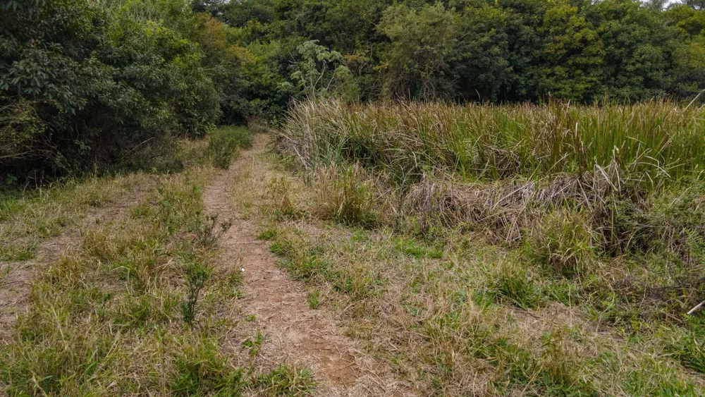 Fazenda, 9 hectares - Foto 4