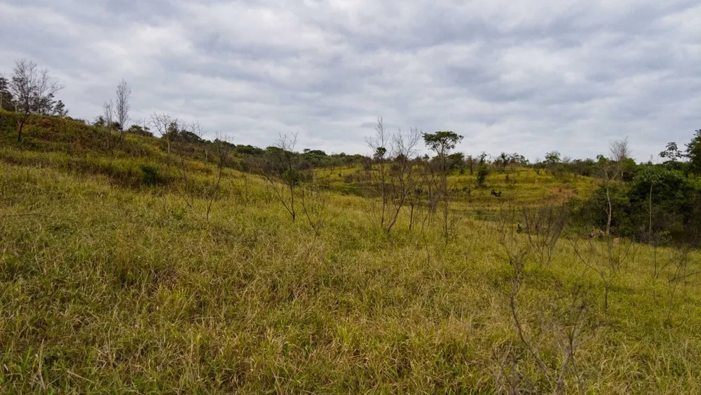 Fazenda, 9 hectares - Foto 13