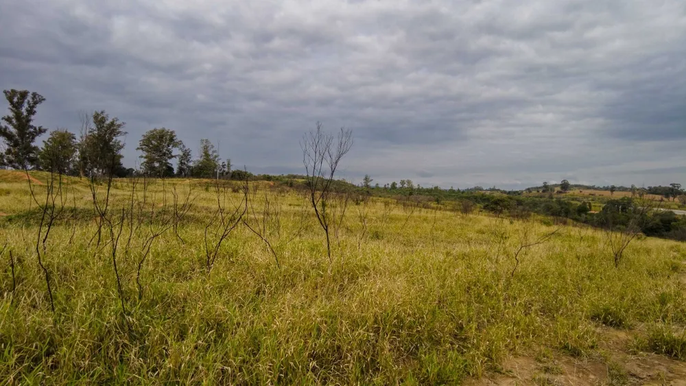 Fazenda, 9 hectares - Foto 10