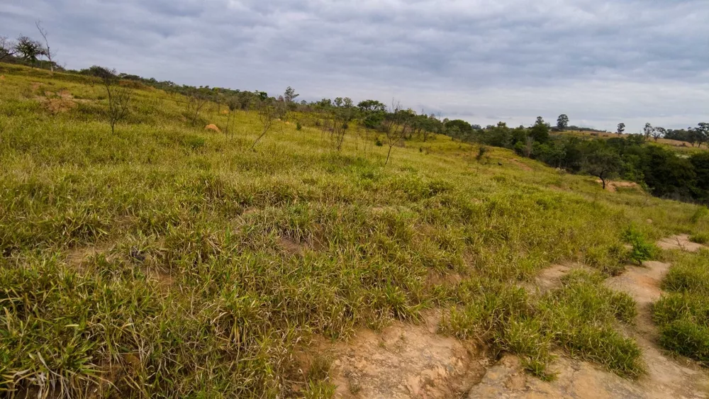 Fazenda, 9 hectares - Foto 3