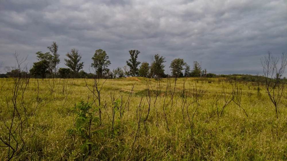 Fazenda, 9 hectares - Foto 11