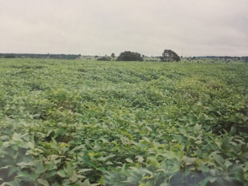 Fazenda-Sítio-Chácara, 232 hectares - Foto 2