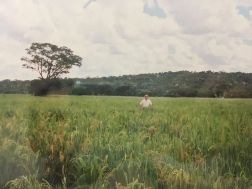 Fazenda, 232 hectares - Foto 11