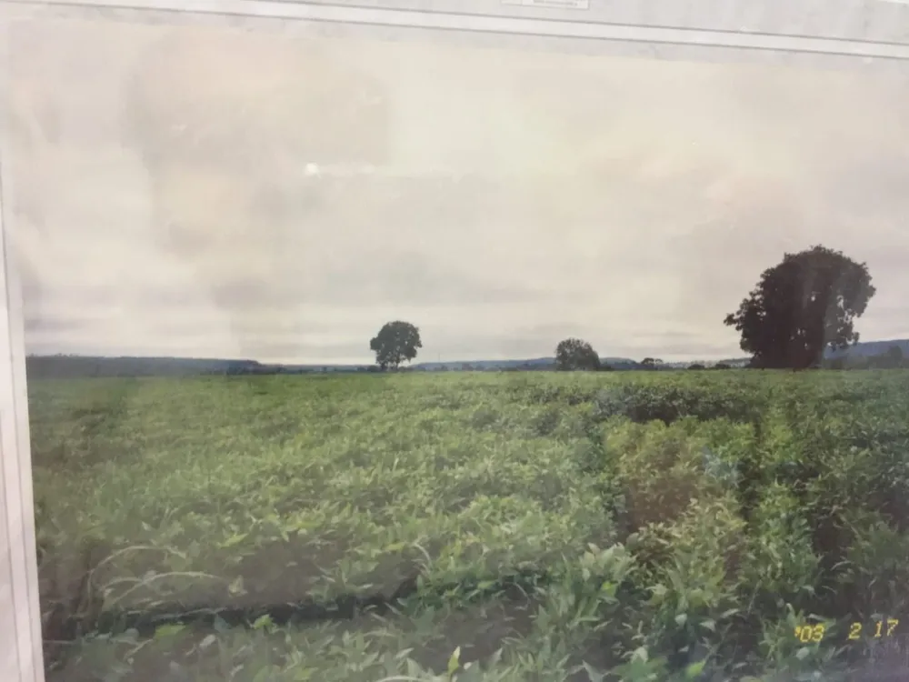 Fazenda, 232 hectares - Foto 2