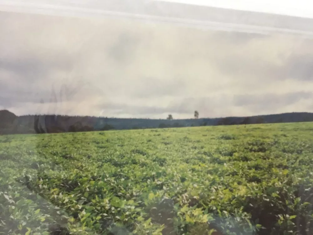 Fazenda, 232 hectares - Foto 3