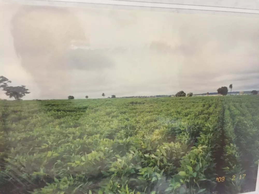 Fazenda, 232 hectares - Foto 2