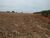 Terreno, 3 hectares - Foto 3