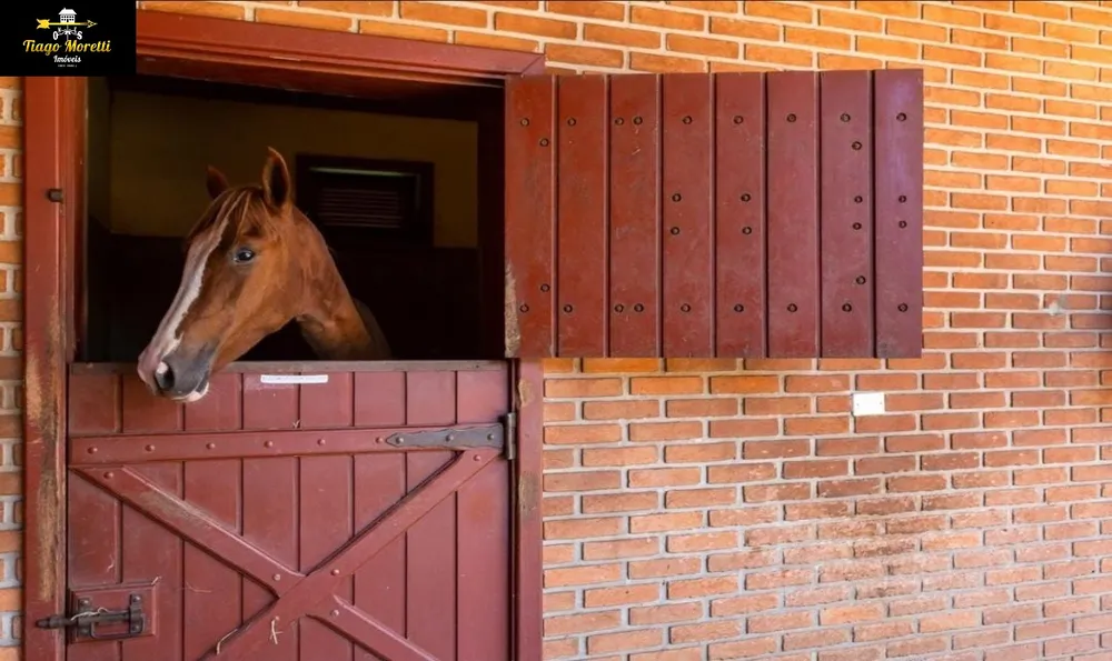 Fazenda, 52 m² - Foto 6