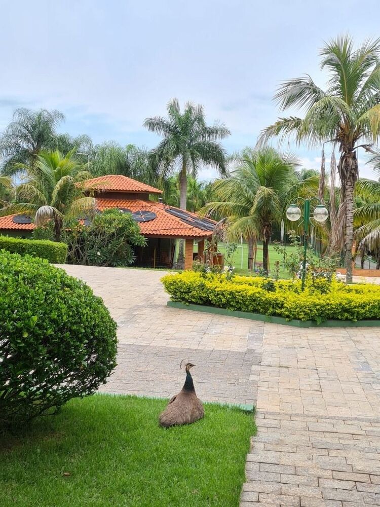 Chácara, 5 quartos, 7000 m² - Foto 47