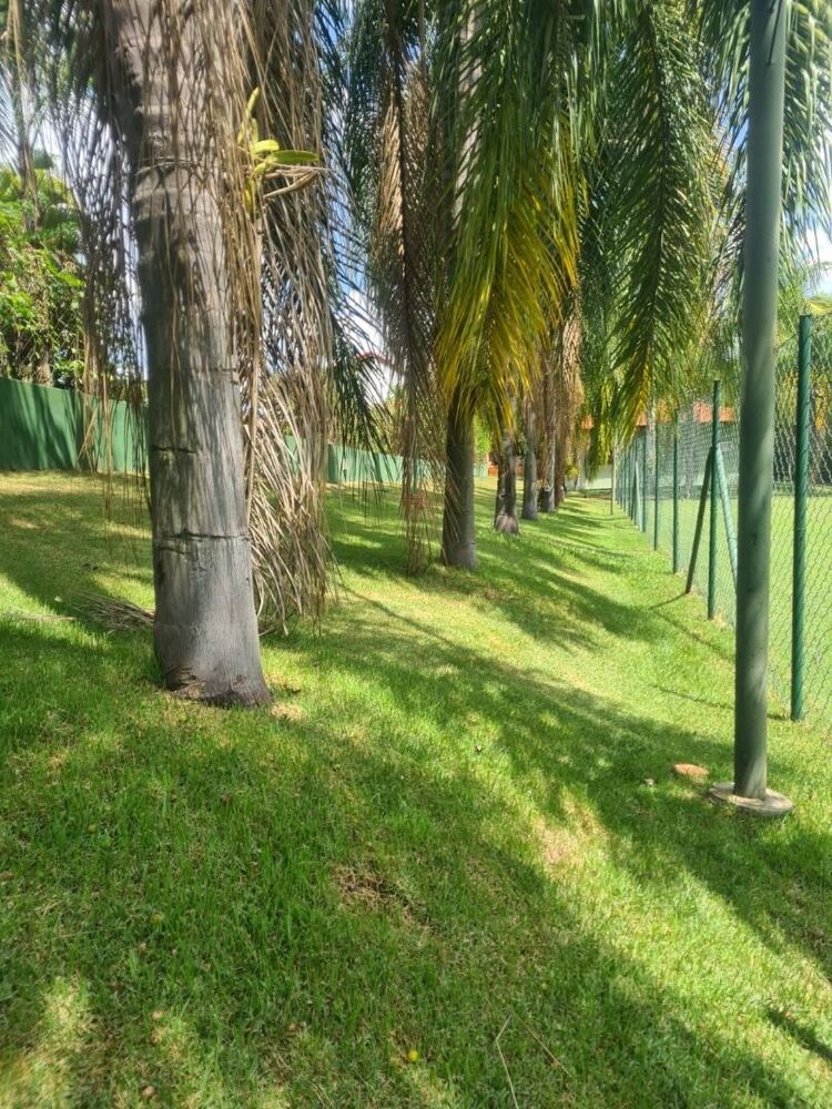 Chácara, 5 quartos, 7000 m² - Foto 17