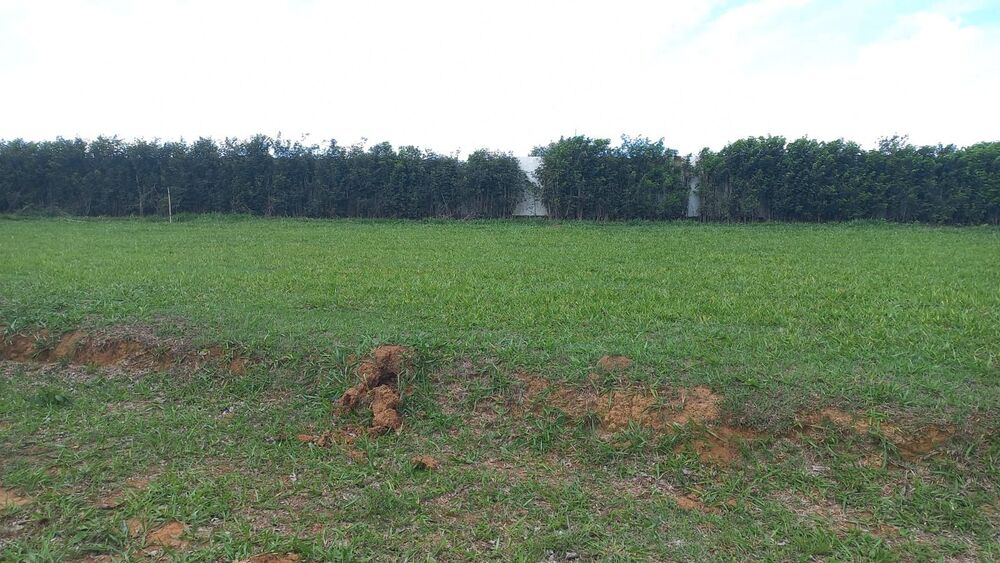 Terreno, 1004 m² - Foto 1