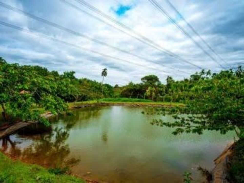 Terreno, 1004 m² - Foto 14