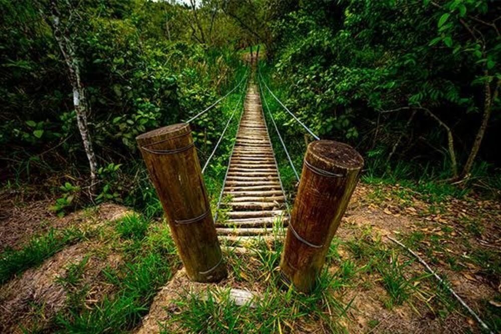 Terreno, 1004 m² - Foto 15