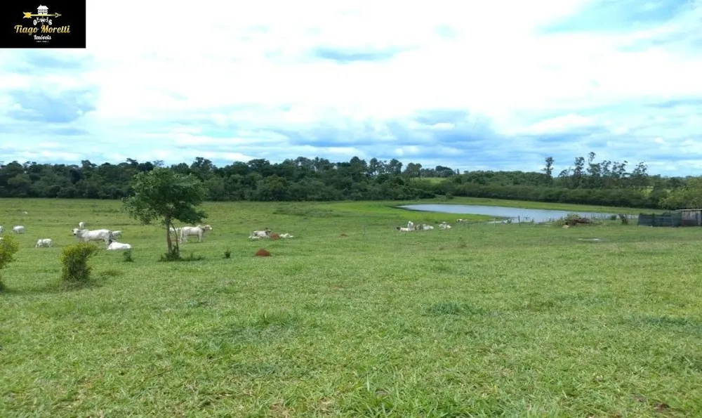 Sítio, 3 quartos, 1000 m² - Foto 3