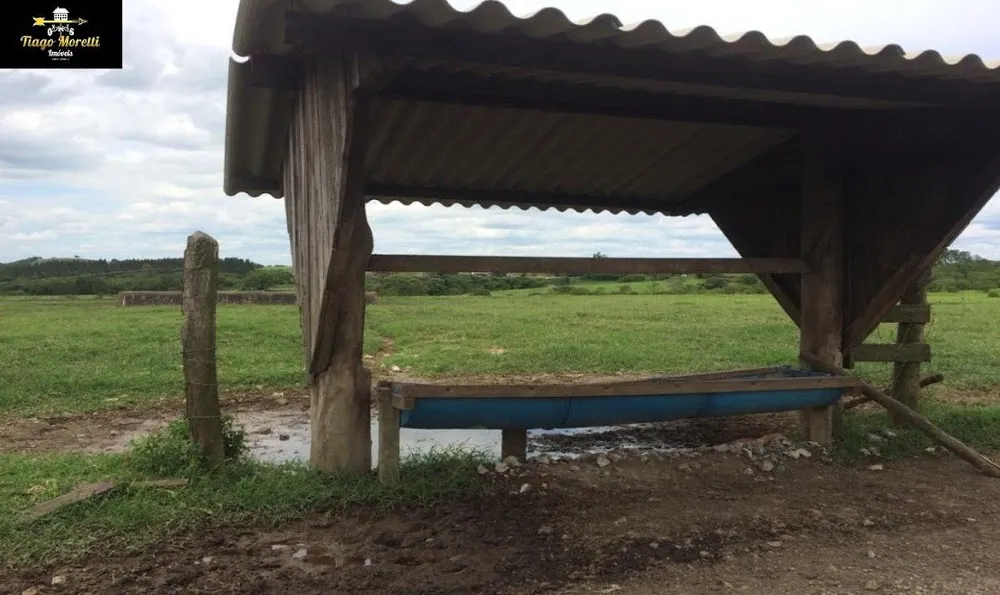 Sítio, 3 quartos, 1000 m² - Foto 14