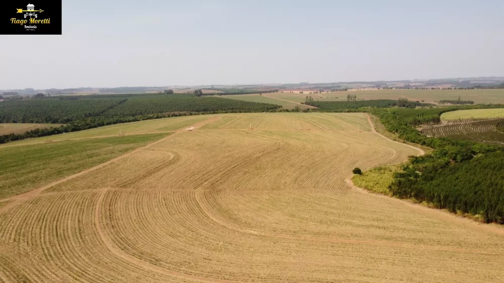 Fazenda - Foto 5