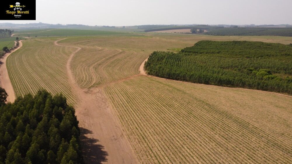 Fazenda - Foto 4