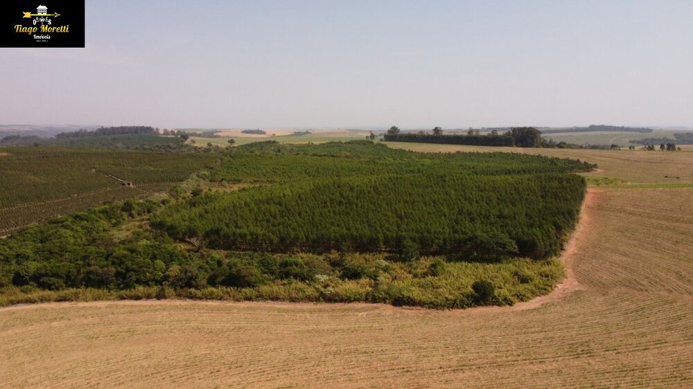 Fazenda - Foto 2