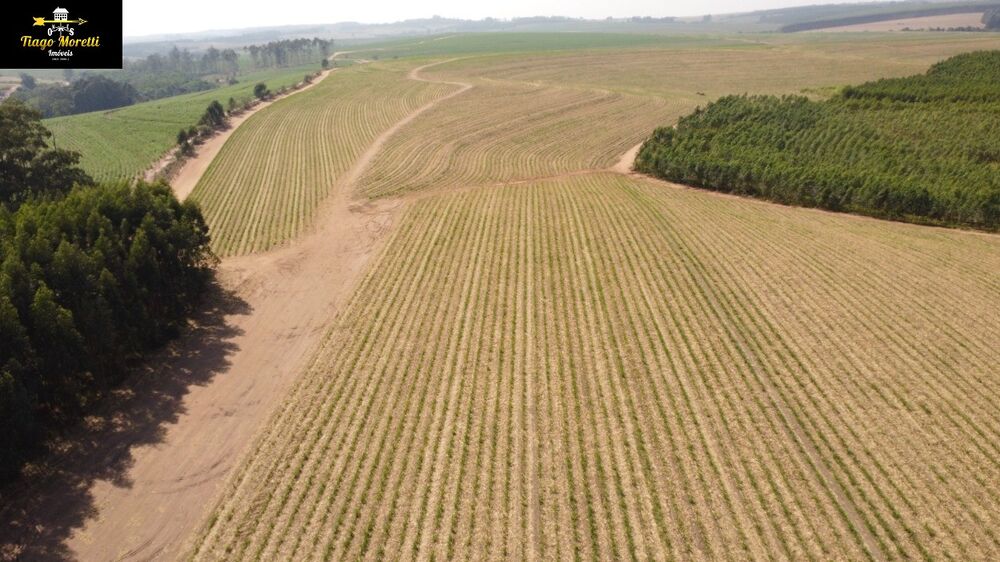 Fazenda - Foto 3