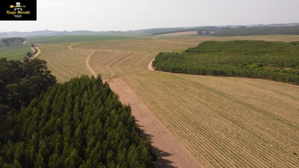 Fazenda - Foto 1