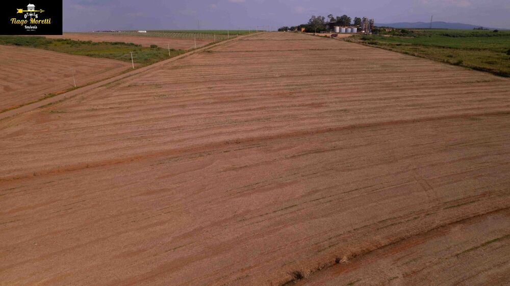 Terreno, 2 hectares - Foto 3