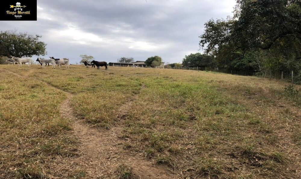 Sítio, 2 hectares - Foto 2