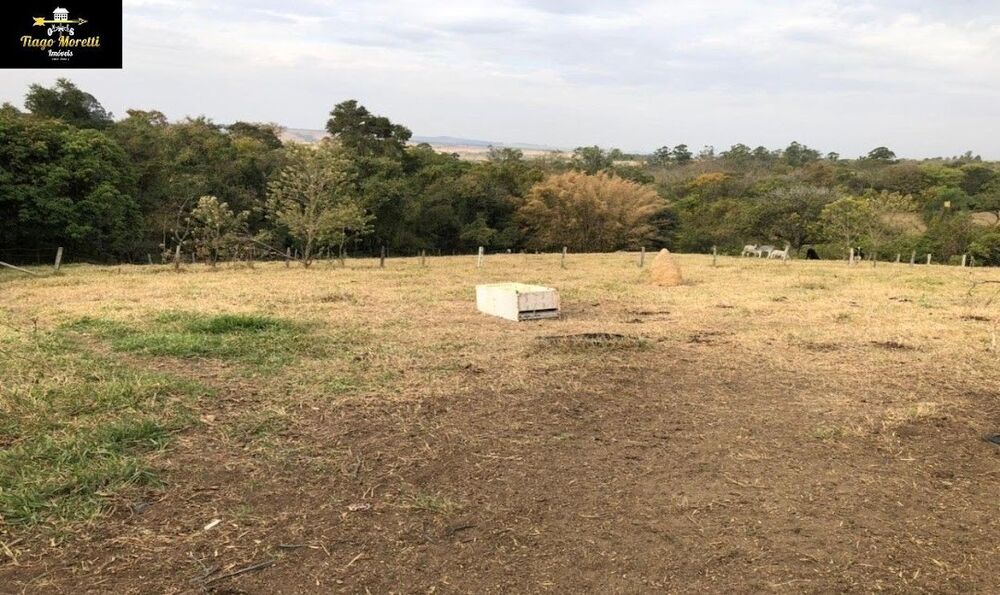 Sítio, 2 hectares - Foto 4