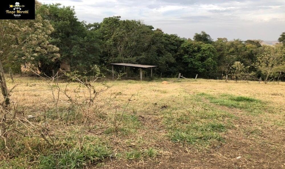 Sítio, 2 hectares - Foto 7